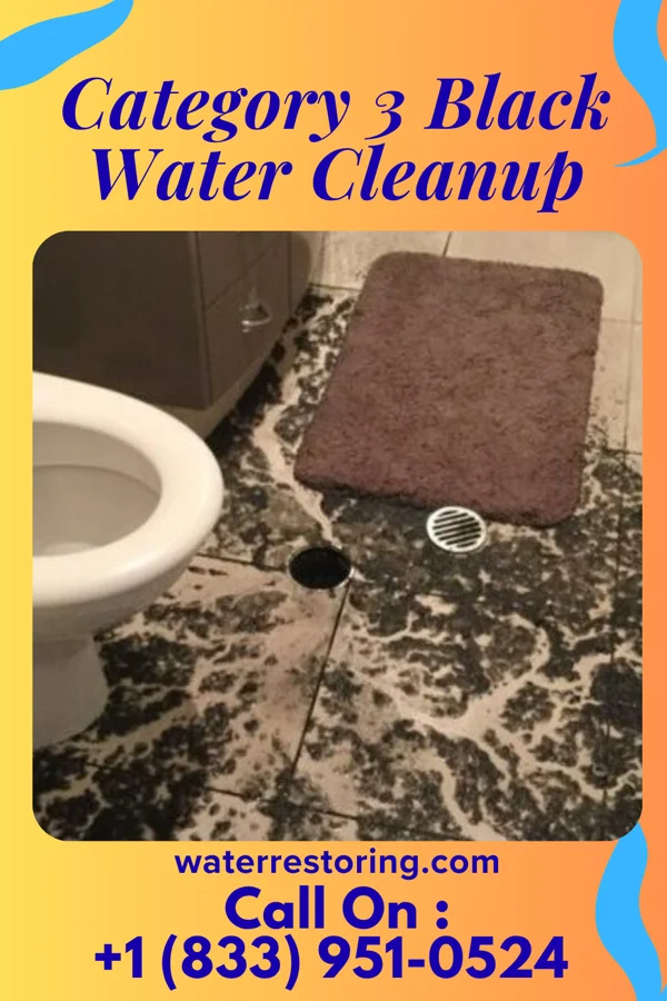 Category 3 Black Water Cleanup in Camden, NJ