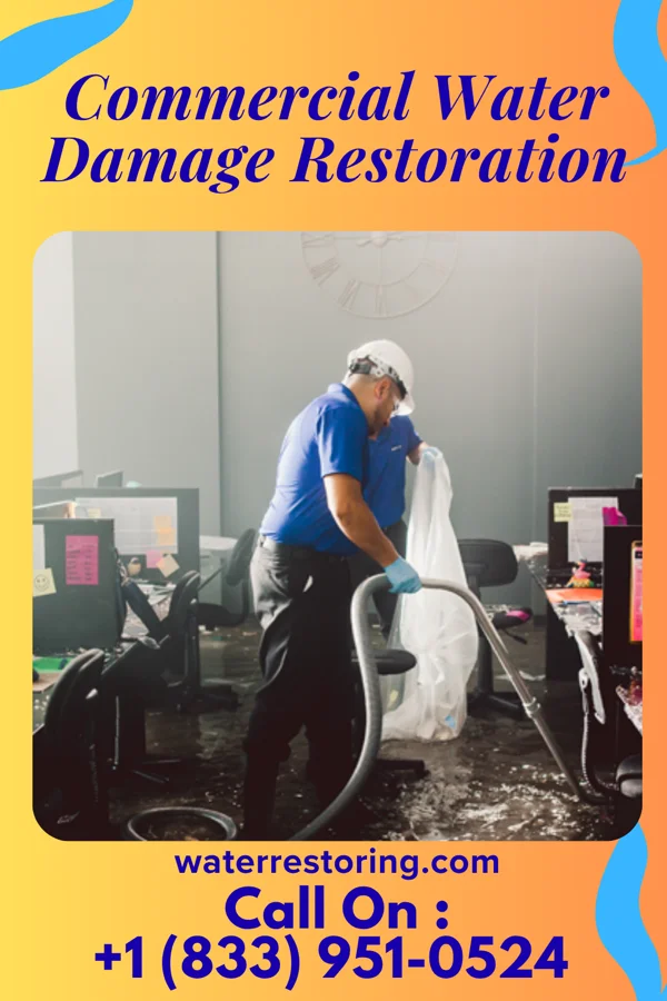Commercial Water Damage Restoration in Camden, NJ