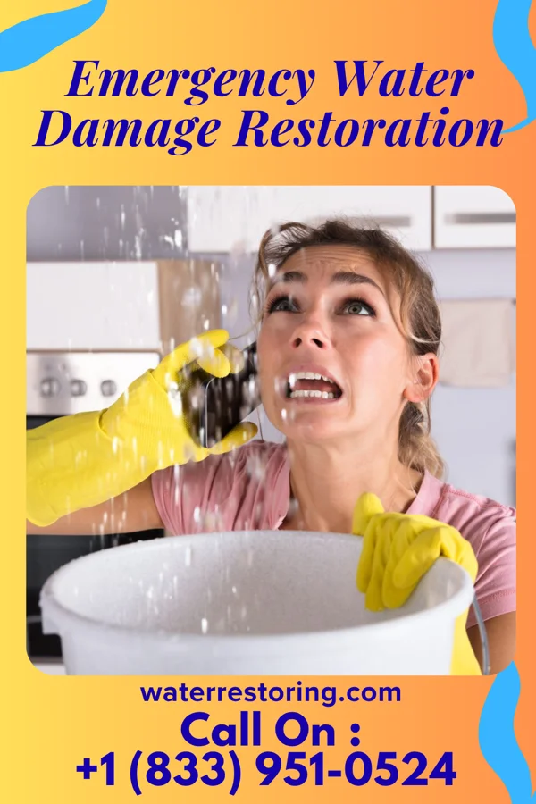 Emergency Water Damage Restoration in Camden, NJ