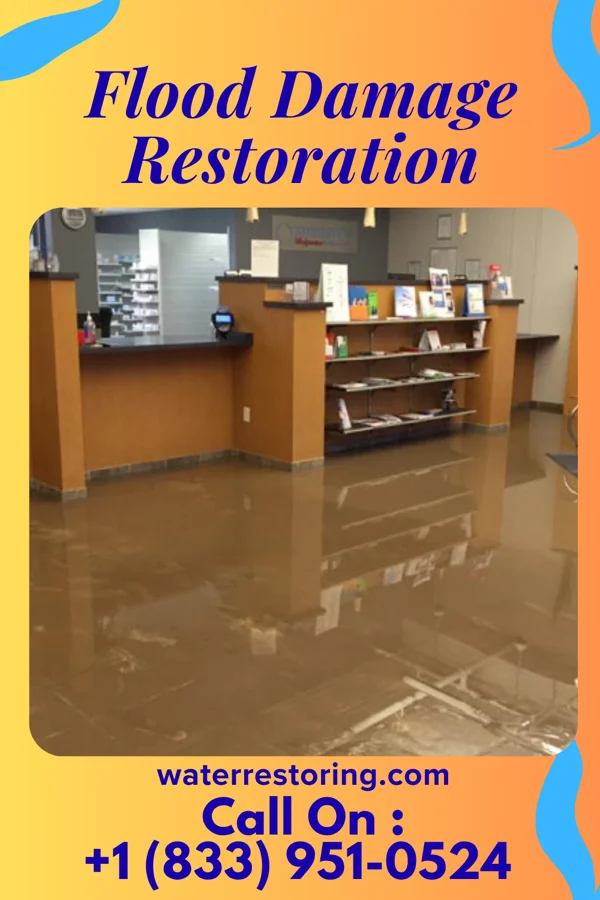 Flood Damage Restoration in Camden, NJ